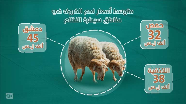 متوسط أسعار لحم الخروف في مناطق سيطرة النظام