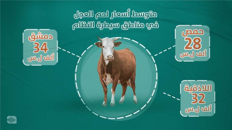 متوسط أسعار لحم العجل في مناطق سيطرة النظام