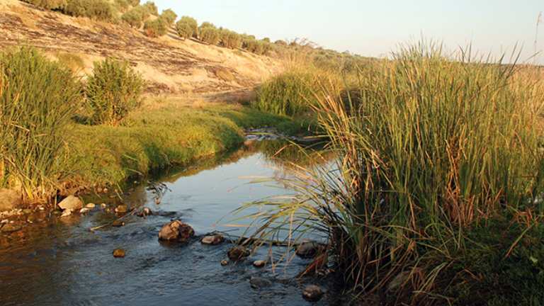Efrin River - image source: Wikipedia